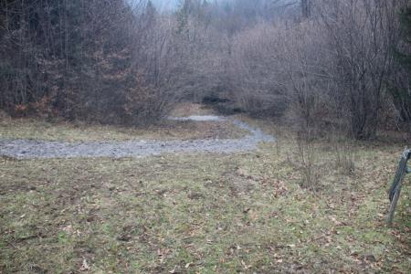 20211125_Divji_potok_Srednja_vas (8)